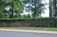 Mur du parc de Mathelin